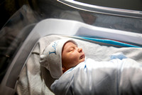 Leo newborn